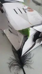 Imagen de reseña 2