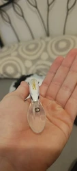 Imagen de reseña 2