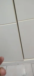 Imagen de reseña 5