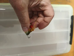 Imagen de reseña 1