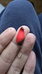 Imagen de reseña 3