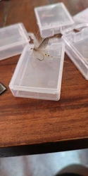 Imagen de reseña 1