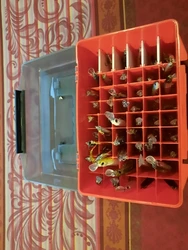 Imagen de reseña 4