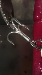 Imagen de reseña 5