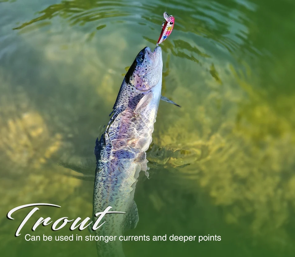 Experimente la emoción de la pesca con esta trucha vibrante perfecta para atacar aguas más profundas