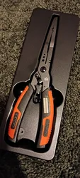 Imagen de reseña 4