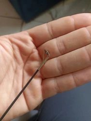 Imagen de reseña 4