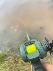Imagen de reseña 1