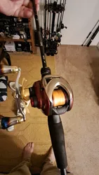 Imagen de reseña 2