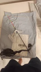 Imagen de reseña 3