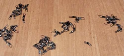 Imagen de reseña 2