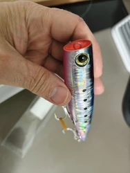 Imagen de reseña 1