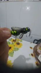 Imagen de reseña 1