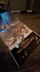 Imagen de reseña 1