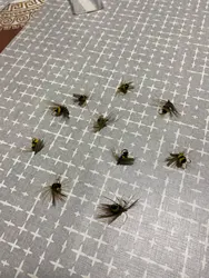 Imagen de reseña 2