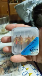 Imagen de reseña 1