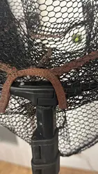 Imagen de reseña 3