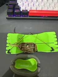 Imagen de reseña 1