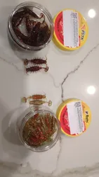Imagen de reseña 1
