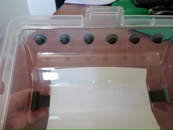 Imagen de reseña 2