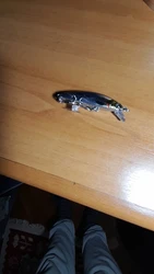 Imagen de reseña 1