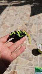 Imagen de reseña 1