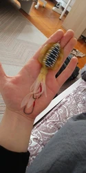 Imagen de reseña 1