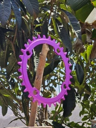 Imagen de reseña 3