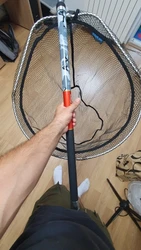 Imagen de reseña 3