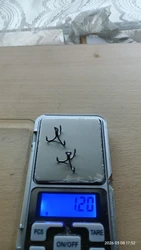 Imagen de reseña 4