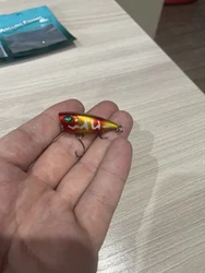 Imagen de reseña 1