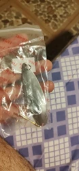 Imagen de reseña 2
