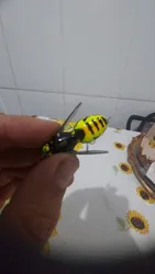 Imagen de reseña 4