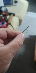 Imagen de reseña 3
