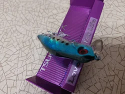 Review image 4