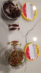 Imagen de reseña 1
