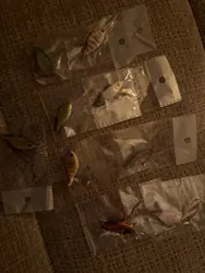 Imagen de reseña 2