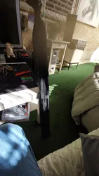 Imagen de reseña 1