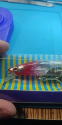Imagen de reseña 1