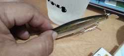 Imagen de reseña 2