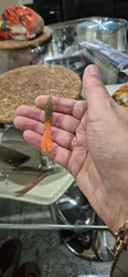 Imagen de reseña 4