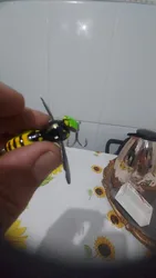 Imagen de reseña 3