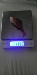 Imagen de reseña 1