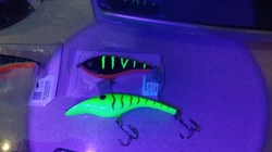 Imagen de reseña 3