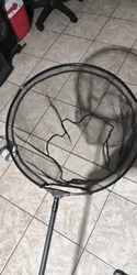Imagen de reseña 4