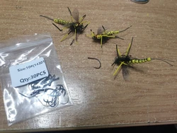 Imagen de reseña 1