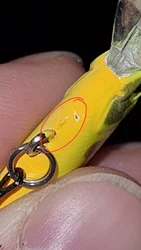 Imagen de reseña 4