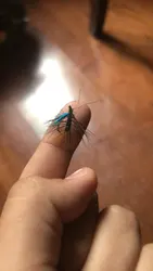 Imagen de reseña 1