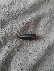 Review image 1