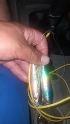 Imagen de reseña 1